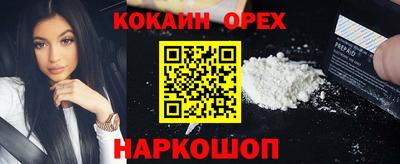 гашик Гагарин