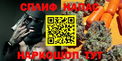 ECSTASY Гатчина