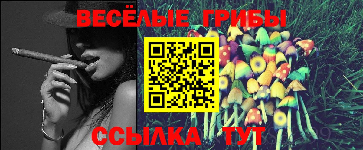 Галлюциногенные грибы ЛСД Саров