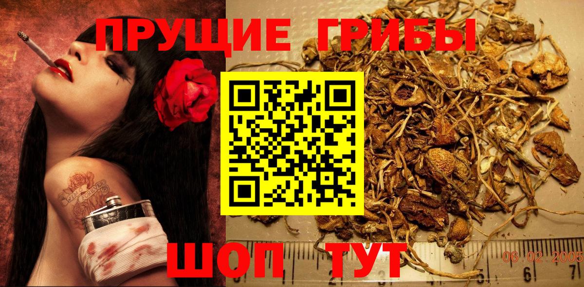 Псилоцибиновые грибы Magic Shrooms  Вход с VPN  Саров  магазин продажи   Галлюциногенные грибы прущие грибы 